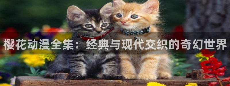 backstage韩漫免费观看：樱花动漫全集：经典与现代交织的奇幻世界