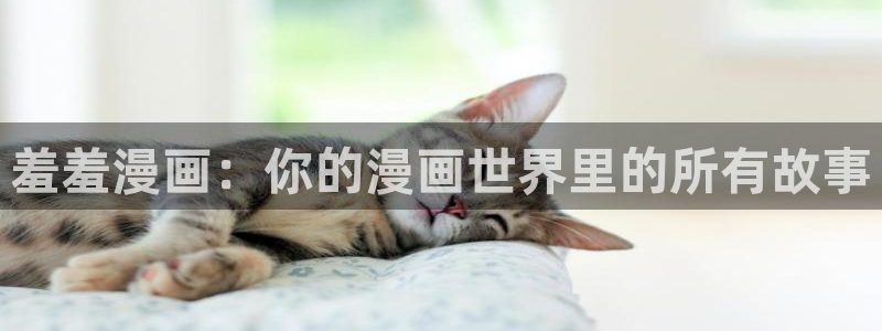奇漫屋专注动漫的门户网站：羞羞漫画：你的漫画世界里的所有故事