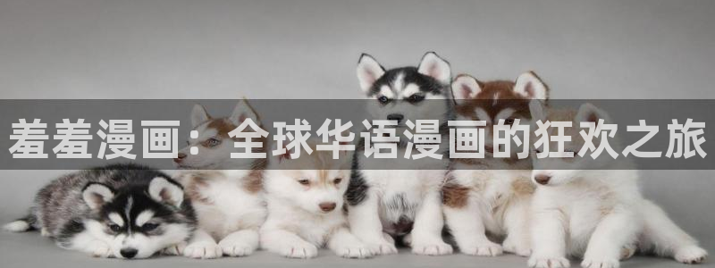 managereader漫画官网入口：羞羞漫画：全球华语漫画的狂欢之旅