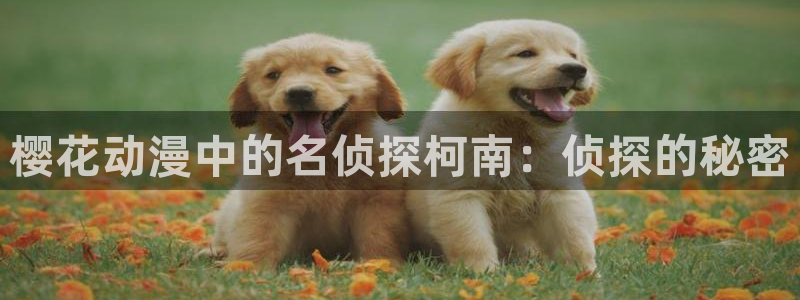 奇漫屋官网在线入口：樱花动漫中的名侦探柯南：侦探的秘密
