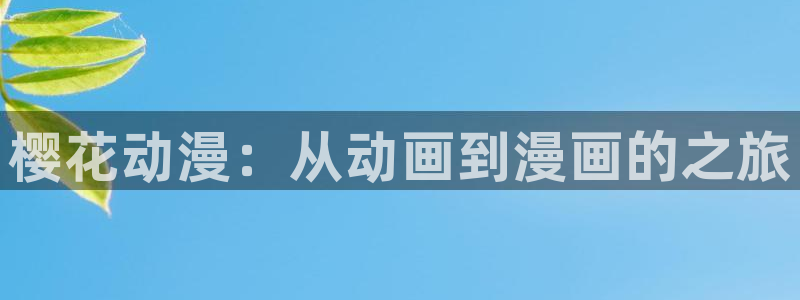 拷贝漫画 copymanager.ory网站：樱花动漫：从动画到漫画的之旅