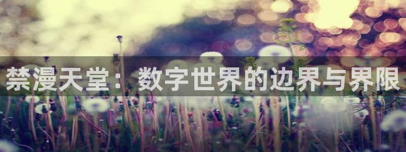 colamanage漫画：禁漫天堂：数字世界的边界与界限