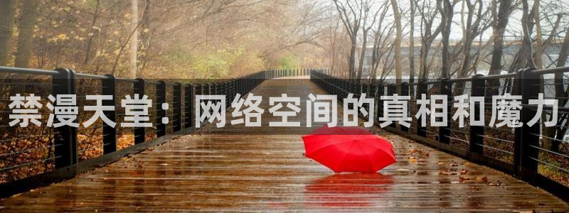 age专注动漫的门户网站：禁漫天堂：网络空间的真相和魔力