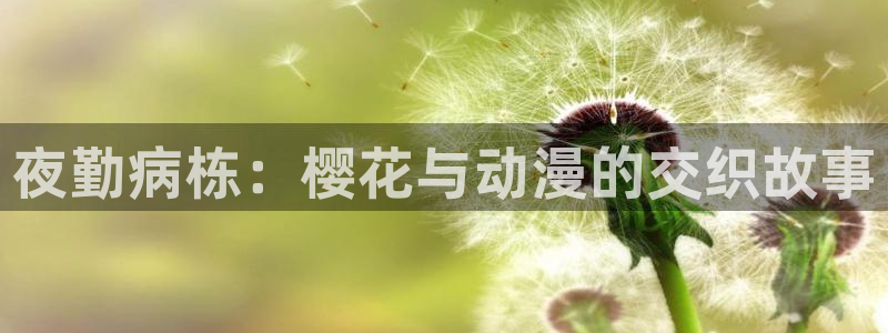 奇漫屋omofun：夜勤病栋：樱花与动漫的交织故事