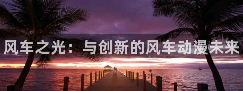 奇漫屋网：风车之光：与创新的风车动漫未来