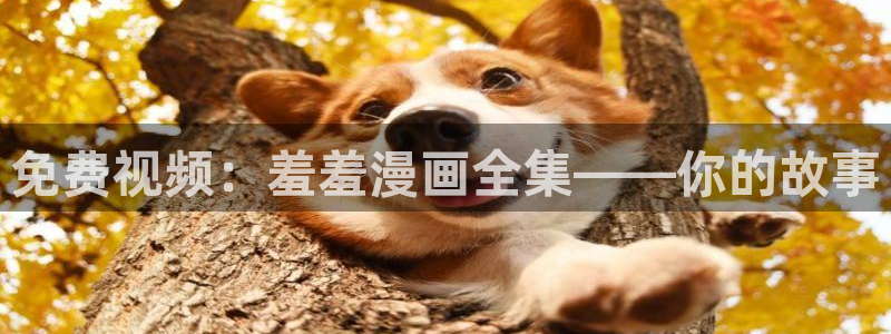 奇漫屋官网入口老版本：免费视频：羞羞漫画全集——你的故事
