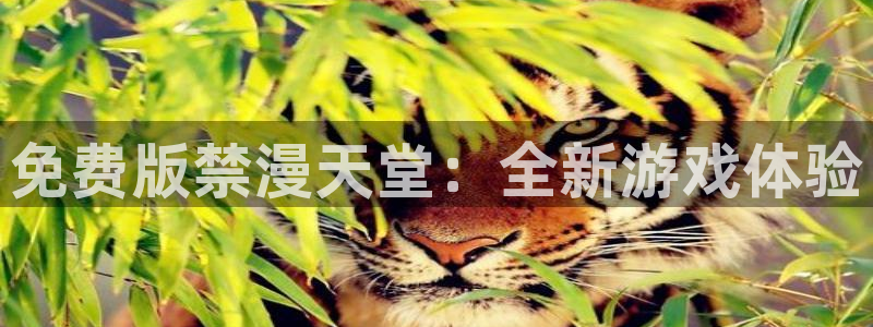 奇漫屋下载网：免费版禁漫天堂：全新游戏体验