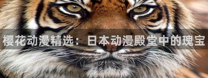 奇漫屋网上看：樱花动漫精选：日本动漫殿堂中的瑰宝