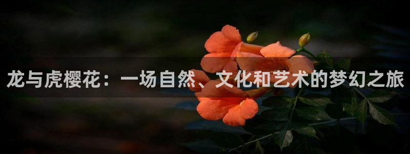 age专注动漫的门户网站：龙与虎樱花：一场自然、文化和艺术的梦幻之旅