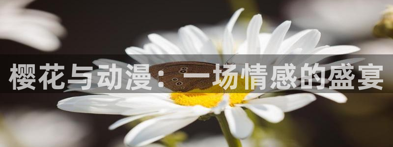 backstage韩漫免费观看：樱花与动漫：一场情感的盛宴
